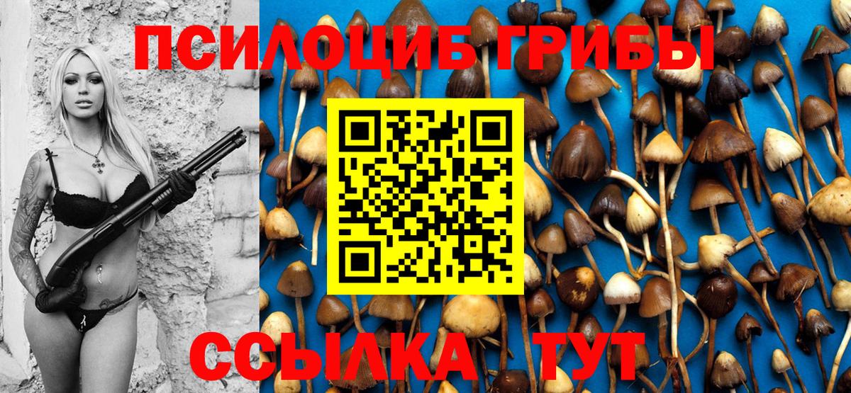 Сертолово  Галлюциногенные грибы GOLDEN TEACHER  Вход с VPN  Галлюциногенные грибы MAGIC MUSHROOMS 